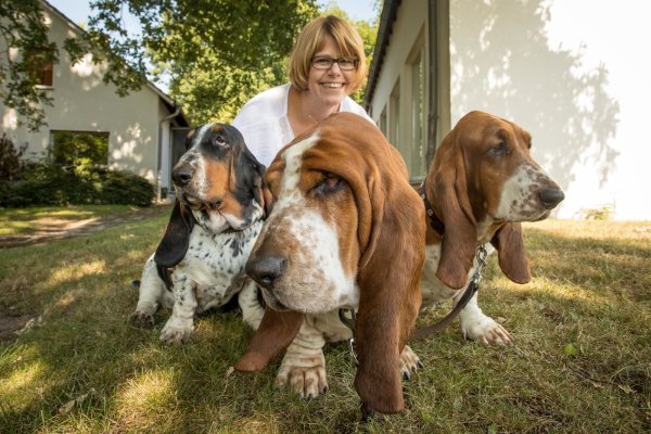 Angelika Meier ist auf der Suche nach der passenden Hunderasse bei den gemütlich-ruhigen Basset-Hounds fündig geworden. In Deutschland sind die Vierbeiner mit den Schlappohren ein seltener Anblick.  - © Torben Gocke