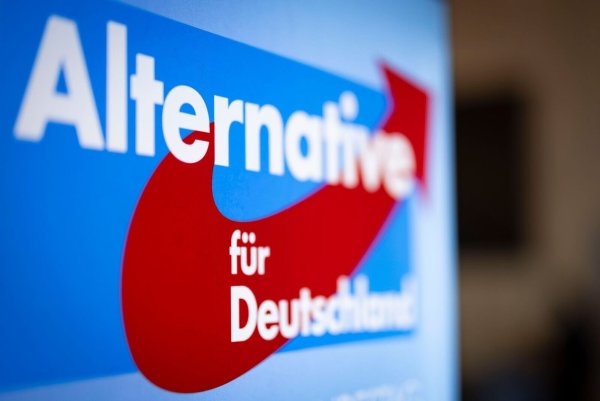 Die AfD meldet eine weitere Großspende an die Bundestagsverwaltung. (Archivbild) - © Christoph Reichwein/dpa