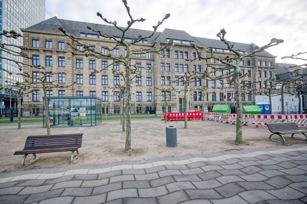 Das Institut der deutschen Wirtschaft empfiehlt eine kritische Prüfung, ob der Stellenzuwachs für «politische Führung und zentrale Verwaltung» solide begründet werden kann. (Archivbild) - © Henning Kaiser/dpa