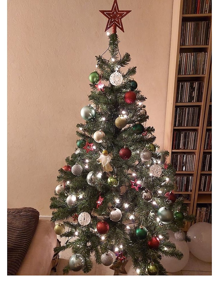 Weihnachtsbäume in Lippe