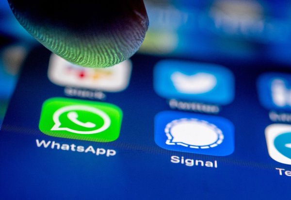 Whatsapp und Signal - © Foto: Zacharie Scheurer/dpa