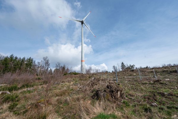 Grünstrom aus Wind- und Solaranlagen soll in Elektrolyseuren grünen Wasserstoff erzeugen. (Symbolbild) - © Markus Klümper/dpa
