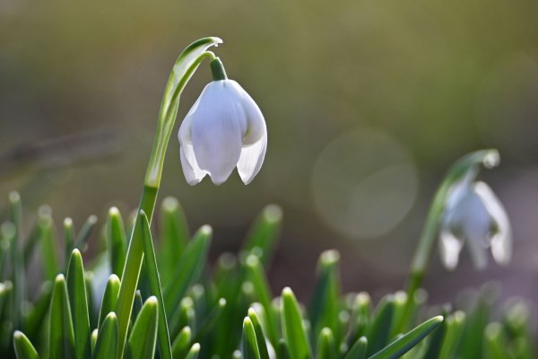 Der April bringt viel Sonne und hohen Temperaturen nach NRW. (Symbolbild) - © Katrin Requadt/dpa