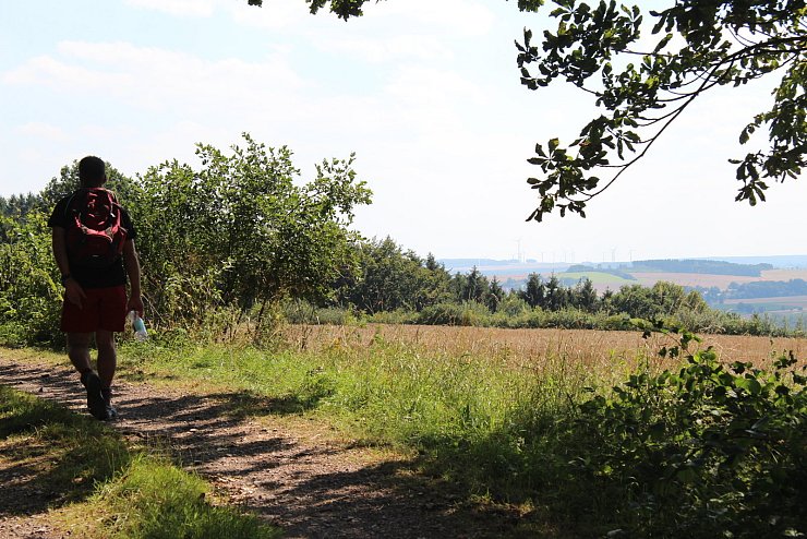 "NaturZeitReise" im Schwalenberger Wald. - &copy; Archivfoto: Silke Buhrmester