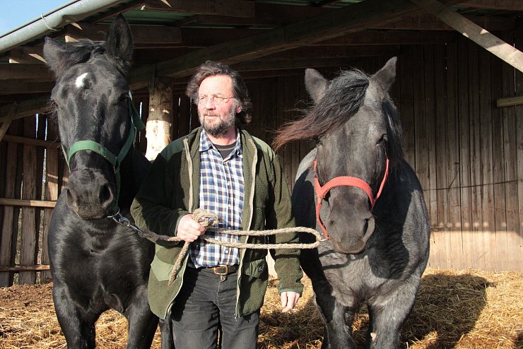 Erhard Schroll hat den achjährigen Alt-Oldenburger Blacky (links) und die siebenjährige Ella, ein Rheinisch-Deutsches Kaltblut, am Halfter. - © Carolin Brokmann-Förster