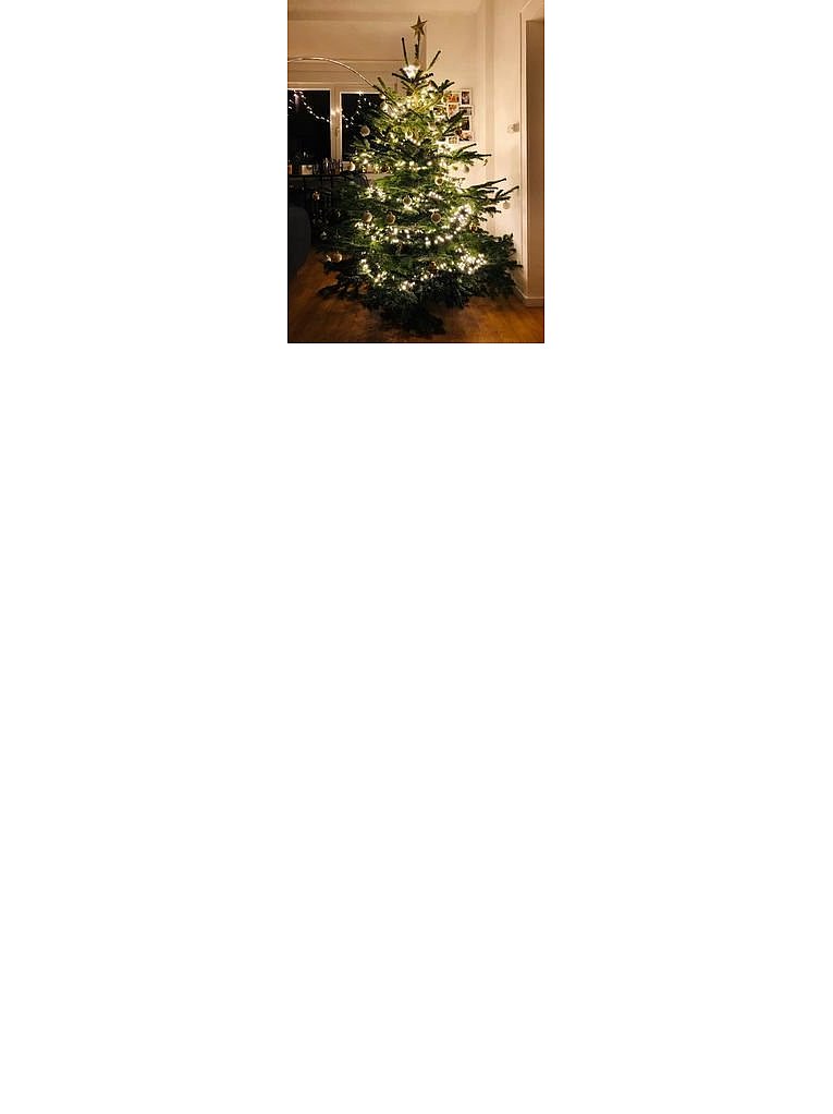Weihnachtsbäume in Lippe