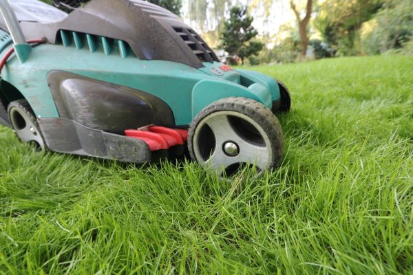Elektro-Rasenmäher - © Foto: Nestor Bachmann/dpa-tmn