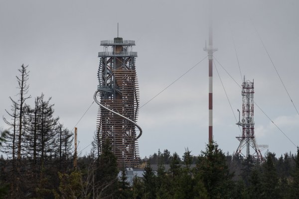 Blick auf den Harzturm neben abgestorbenen Fichten und Sendemasten. - © Swen Pförtner/dpa
