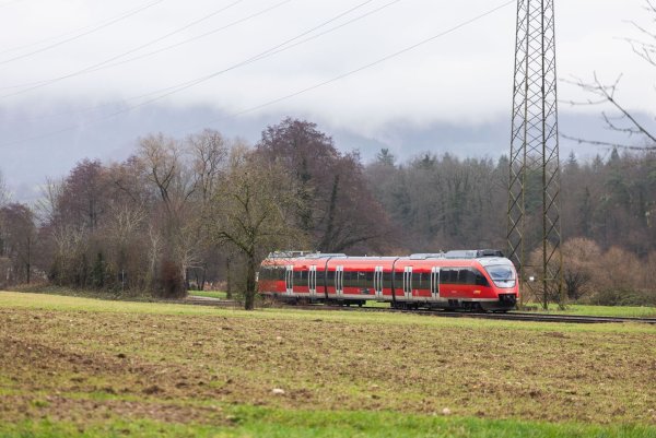 Auf rund einem Drittel des deutschen Schienennetzes können wegen fehlender Oberleitungen keine elektrischen Züge fahren. (Archivbild) - © Philipp von Ditfurth/dpa