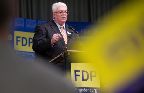 FDP-Politiker Heinz Lanfermann hält eine Rede. - © Patrick Pleul/dpa/Archivbild