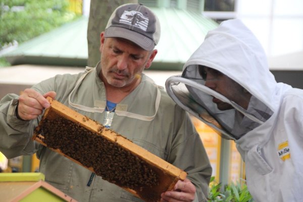 Imker Andrew Coté (l.) checkt gemeinsam mit einem Helfer die Bienenstöcke im New Yorker Bryant Park. Imkern in New York wird immer beliebter. - © Christina Horsten/dpa