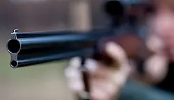 Bleikugeln im NRW-Wald

verboten - &copy; NRW