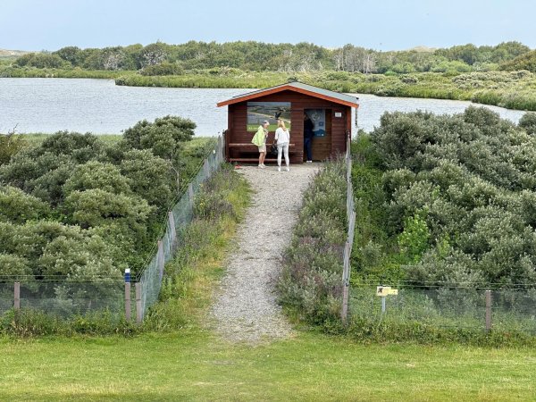Im Vogelschutzgebiet Südstrandpolder auf Norderney hat eine Wildtierkamera einen Wolf fotografiert. - © Volker Bartels/dpa