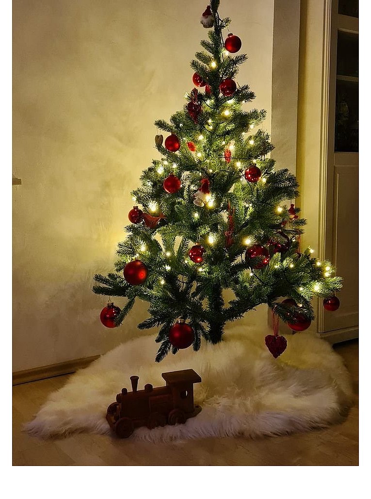 Weihnachtsbäume in Lippe