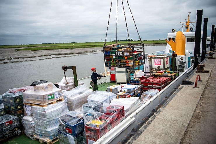 Bienenstock-Ladung - &copy; Foto: Sina Schuldt/dpa