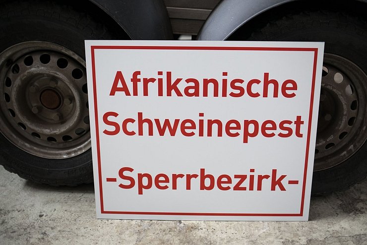 Afrikanische Schweinepest - &copy; Foto: Frank Rumpenhorst/dpa