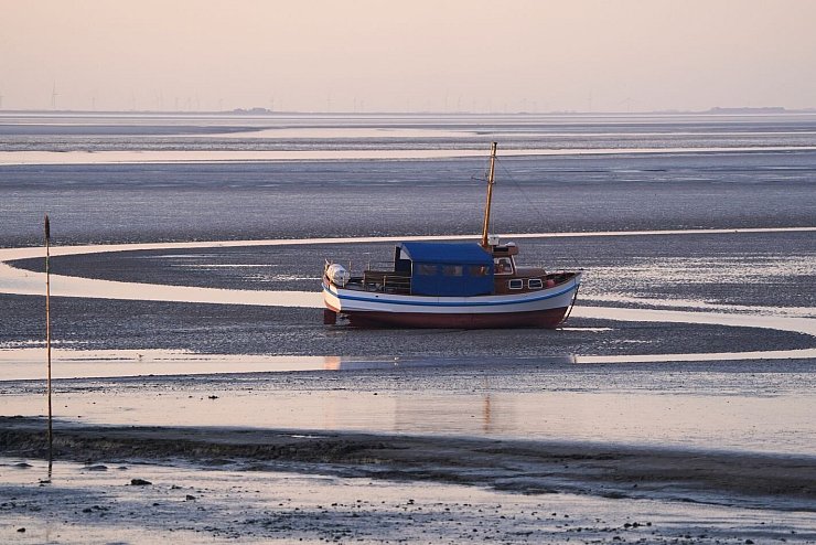 Insel Pellworm - &copy; Foto: Marcus Brandt/dpa