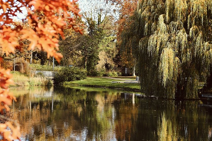 Die Natur im Kurpark zeigt sich in enormer Farbenpracht - © Melanie Meyer