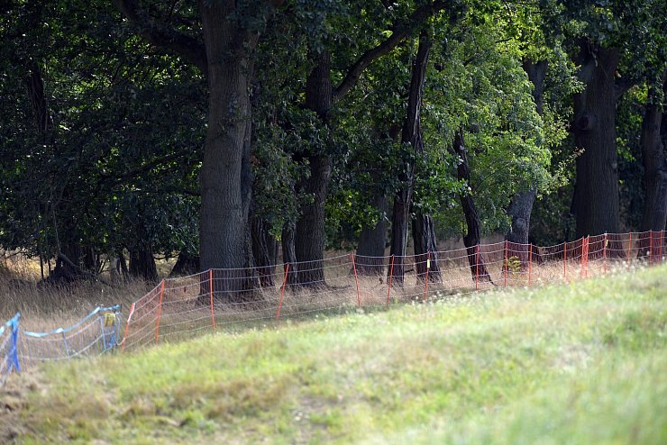 Schutzzaun - &copy; Foto: Soeren Stache/dpa-Zentralbild/ZB