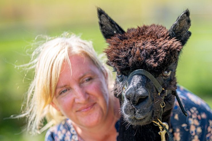 Alpaka Geronimo - &copy; Foto: Ben Birchall/PA Wire/dpa