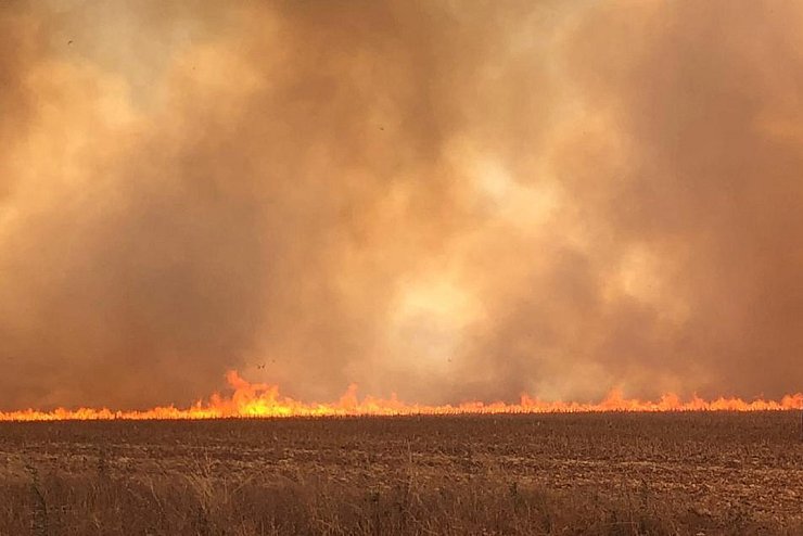 Waldbr&auml;nde im Amazonas - &copy; Foto: CBMMT