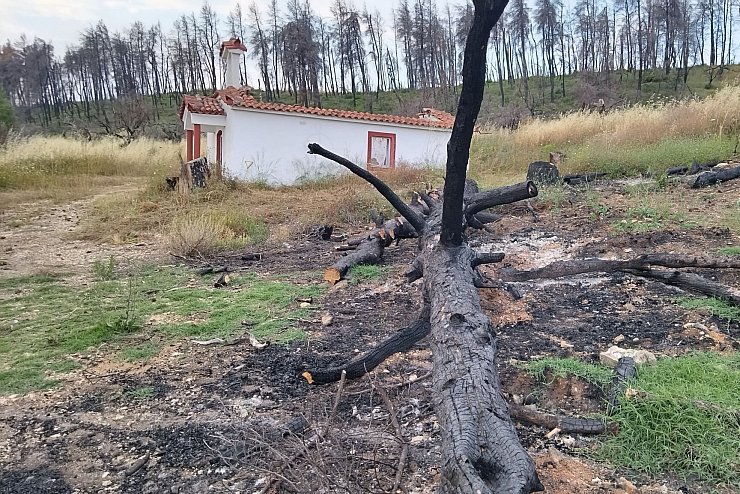 - &copy; Vaiva Bauze/dpa