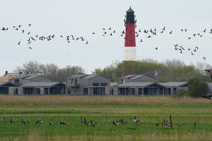 Insel Pellworm - &copy; Foto: Marcus Brandt/dpa