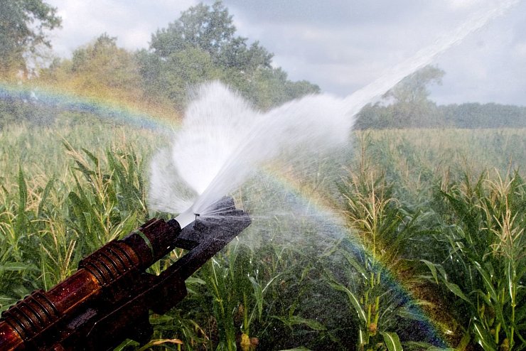 Nationale Wasserstrategie - &copy; Foto: Julian Stratenschulte/dpa