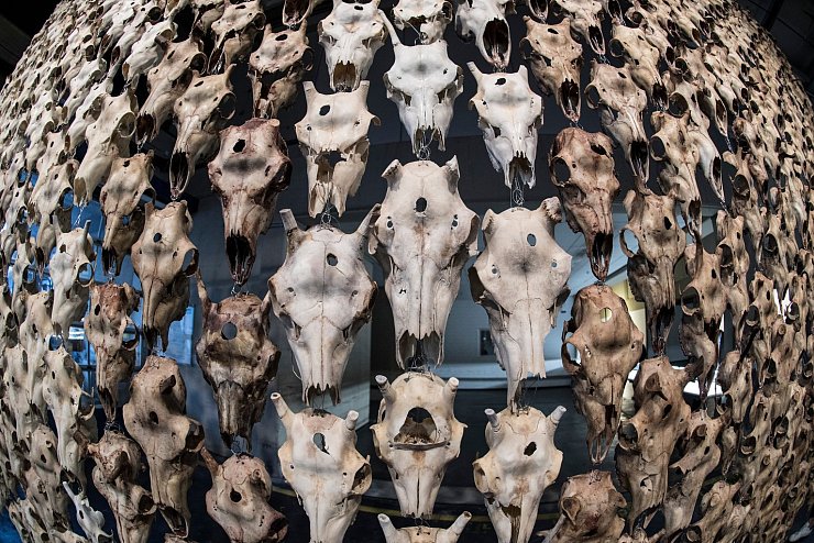 documenta 14 - © Foto: Boris Roessler