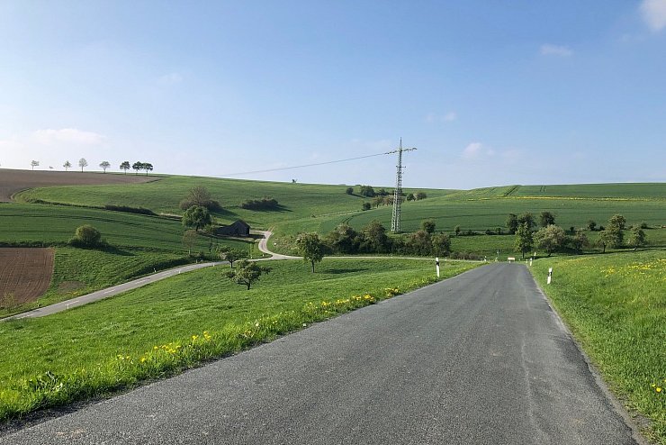 Wie im Allgäu: Mehrere Kilometer bergab führt die kurvige Straße durch sanfte Hügel von Großenberg nach Lügde. - © Silke Buhrmester