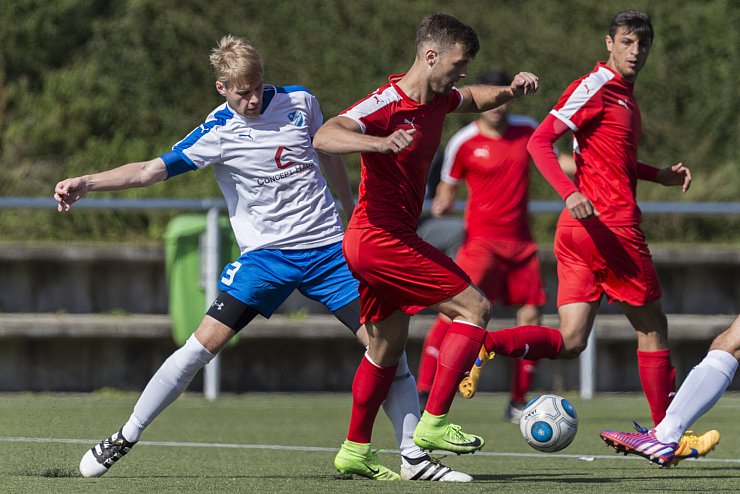 TuS Asemissen - FC Türk Sport - © Egon Penner