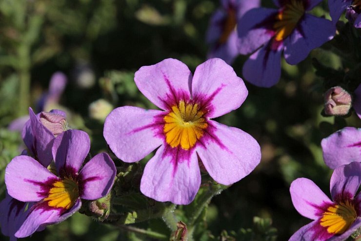 - &copy; GMH/dpa-tmn