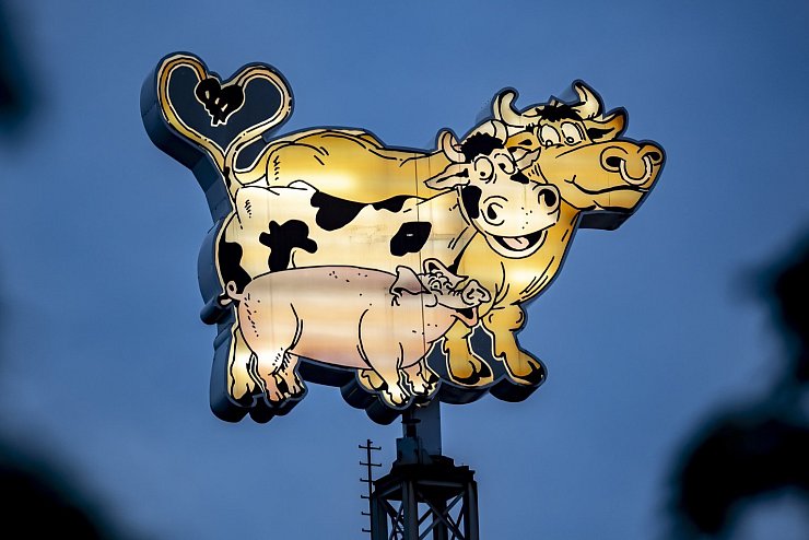 T&ouml;nnies - &copy; Foto: David Inderlied/dpa