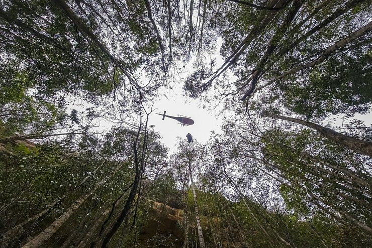 Einsatz über dem Wald - © Foto: Npws/NPWS/AAP/dpa