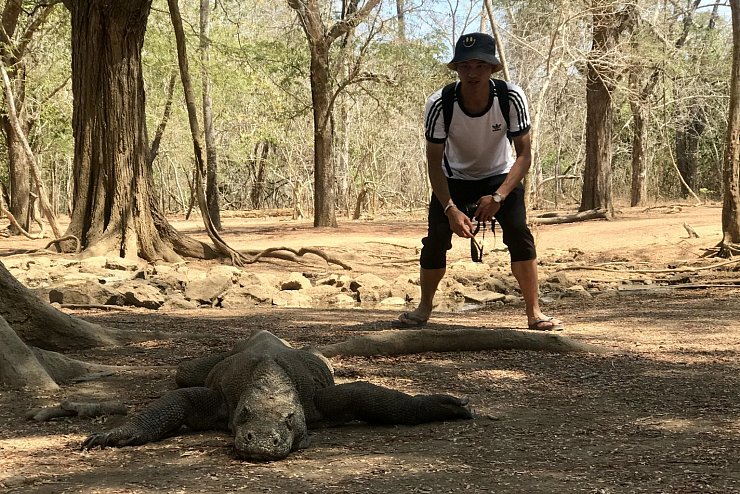 Insel Komodo - © Foto: Christoph Sator/dpa