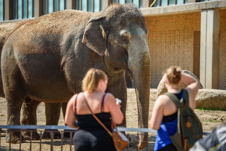 Senioren im Zoo Berlin - &copy; Foto: Gregor Fischer