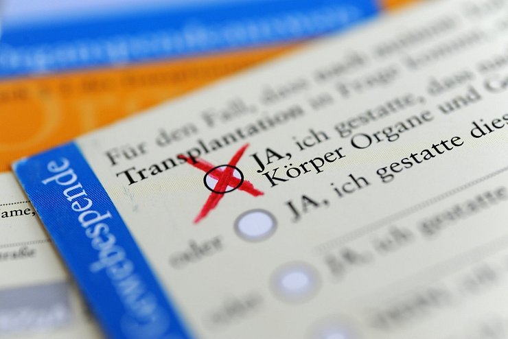 Organspendeausweis - &copy; Foto: Marie Reichenbach