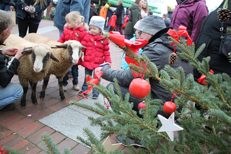 Weihnachtsmarkt Eben-Ezer