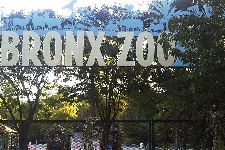 Bronx Zoo - © Foto: Jim Fitzgerald/AP/dpa