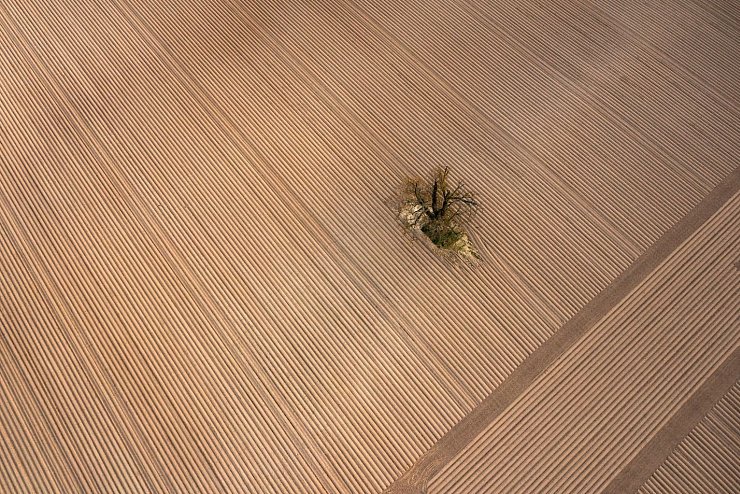 Trockenheit - &copy; Foto: Boris Roessler/dpa