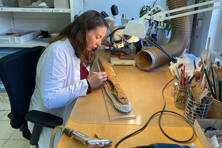 LWL- Restauratorin Susanne Bretzel-Scheel bei ihrer Arbeit in der Restaurierung der LWL-Archäologie für Westfalen in Münster. Zu sehen ist ein Langsax (einschneidiges Langschwert) vor der Restaurierung. - © LWL/ Steimer
