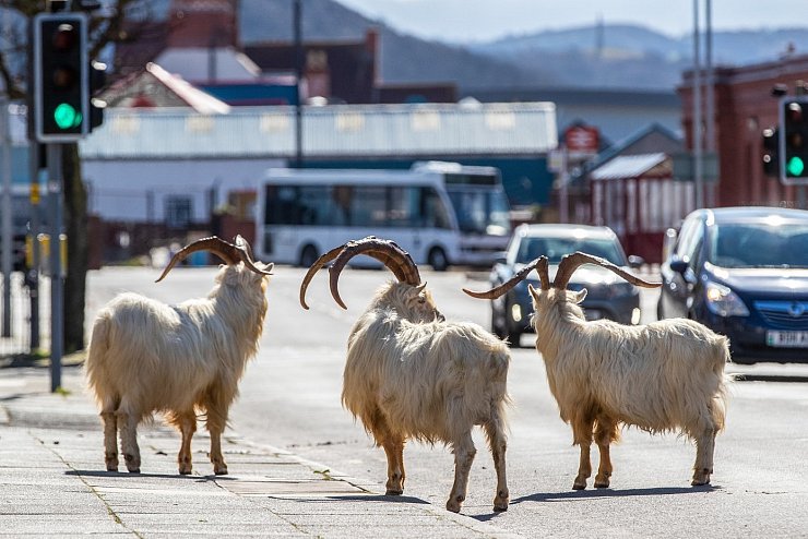 Llandudno - © Foto: Peter Byrne/PA Wire/dpa