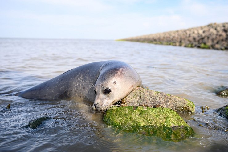 - &copy; Jonas Walzberg/dpa