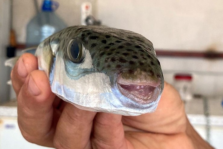 - &copy; Anne Pollmann/dpa