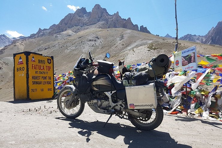 Mit Katze um die Welt - &copy; Foto: Martin Klauka/dpa