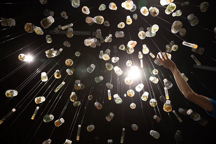 Weltnaturkonferenz in China - &copy; Foto: Jin Liwang/XinHua/dpa