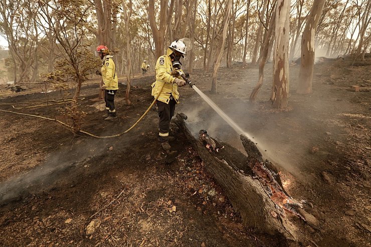 Im Einsatz - © Foto: Rick Rycroft/AP/dpa