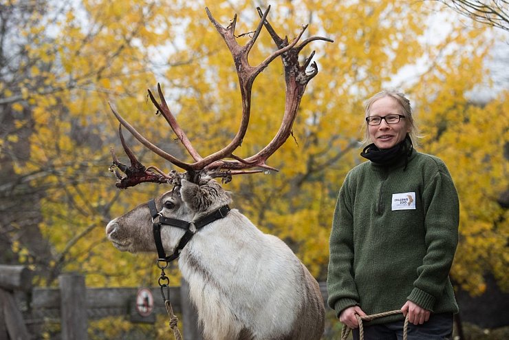 Tier-Patenschaften im Zoo - &copy; Foto: Julian Stratenschulte/dpa
