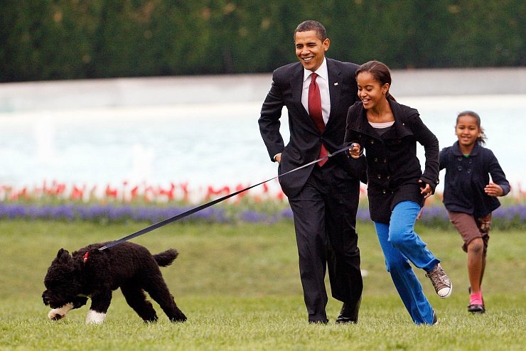 Familienhund Bo - &copy; Foto: Ron Edmonds/AP/dpa