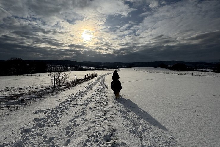 In Sch&ouml;nemark ist ein winterlicher Ausritt mit dem Pony m&ouml;glich. - &copy; Jessica Thurau
